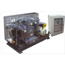 Compresseur à piston à haute pression alternatif de station hydroélectrique (K2-60WHS-1160H)